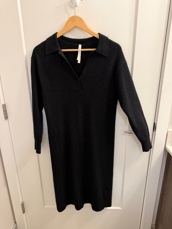 Dresses & Skirts - Aritzia Babaton Wool Blend Polo Dress